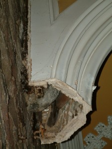 Post 23 (b) Corbel & Clean Plaster Break from Below Left.