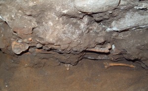E84 St Nicholas Site Week 28 Skeleton in wall - SK426 Aberdeen Art Gallery & Museums Collections