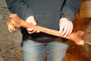 E84 St Nicholas Site Week of 05.06.06 Gemma holding diseased bone Aberdeen Art Gallery & Museums Collections